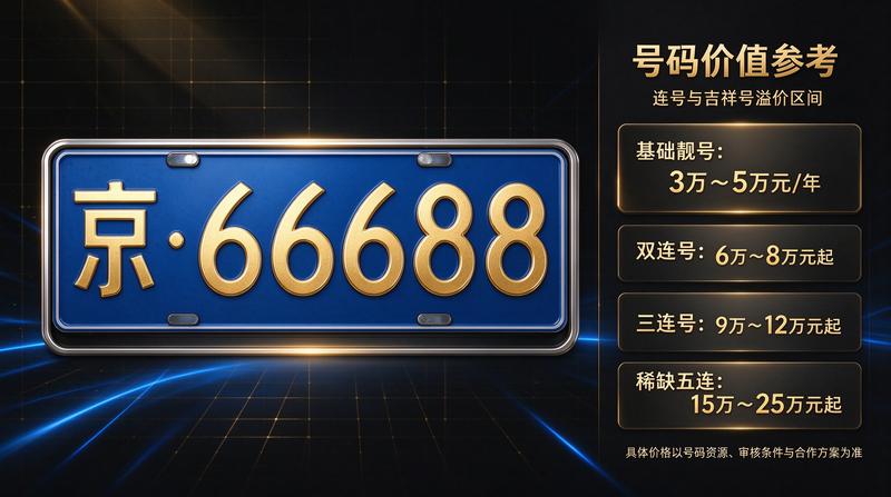 新能源牌照优势